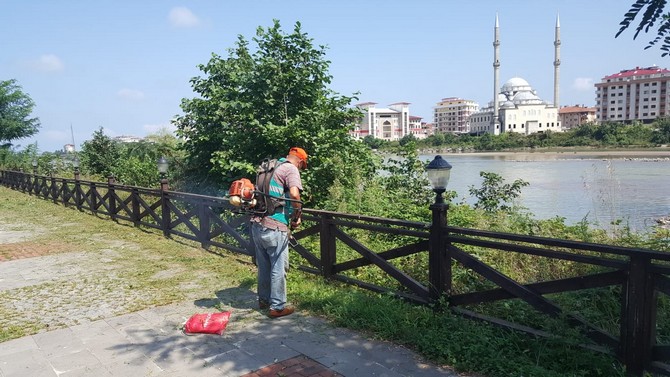 rizede-denetimli-serbestlik-temiz-cevre-projesi-kapsaminda-cevre-temizligi-yapildi-(1).jpg
