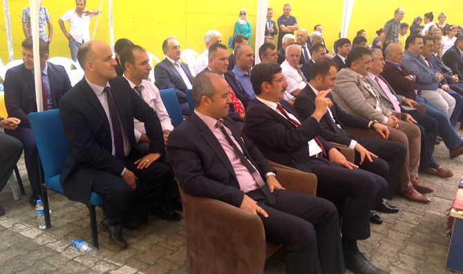 0233-005.jpg 0233-005.jpg