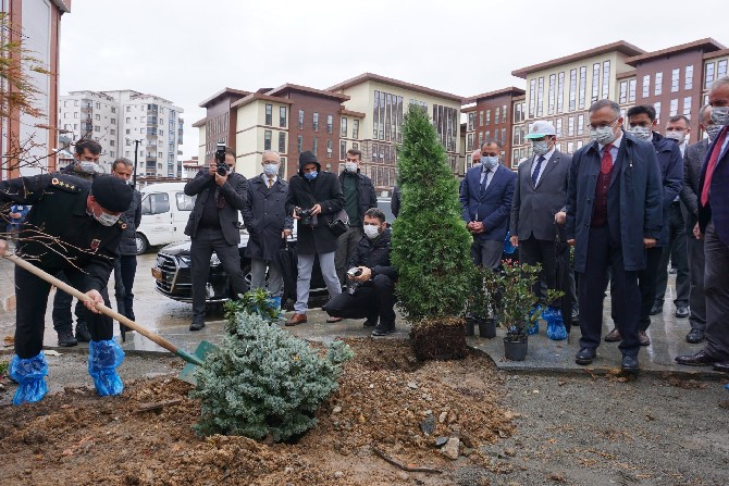 11-kasim-milli-agaclandirma-gunu-nedeniyle-gelecege-nefes,-dunyaya-nefes-sloganiyla-rizede-10-ayri-noktada-5-bin-fidan-toprakla-bulusturuldu-(9).jpg