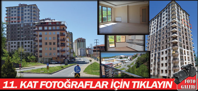 11-kat.jpg 11-kat.jpg