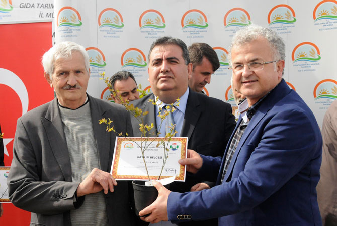 14-bin-lipaka-fidani-dagitildi--2.jpg 14-bin-lipaka-fidani-dagitildi--2.jpg