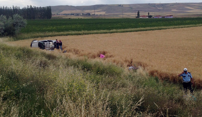 22-006.jpg 22-006.jpg