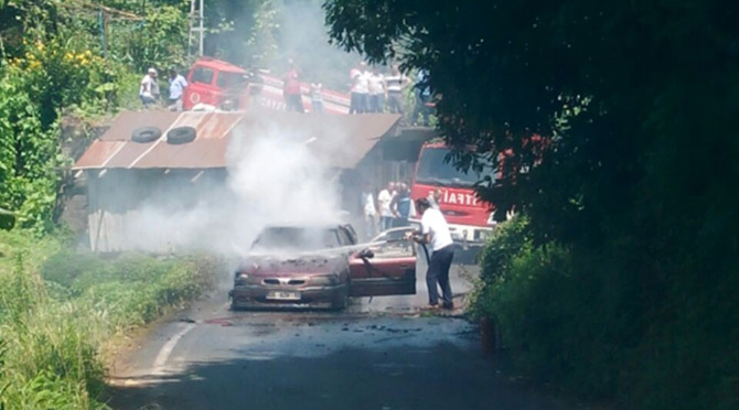 23-010.jpg 23-010.jpg