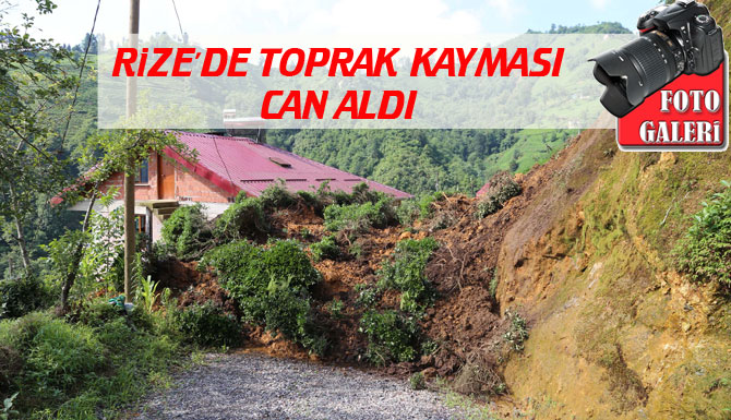 23-037.jpg 23-037.jpg