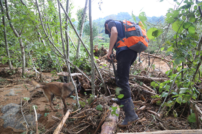 23-038.jpg 23-038.jpg