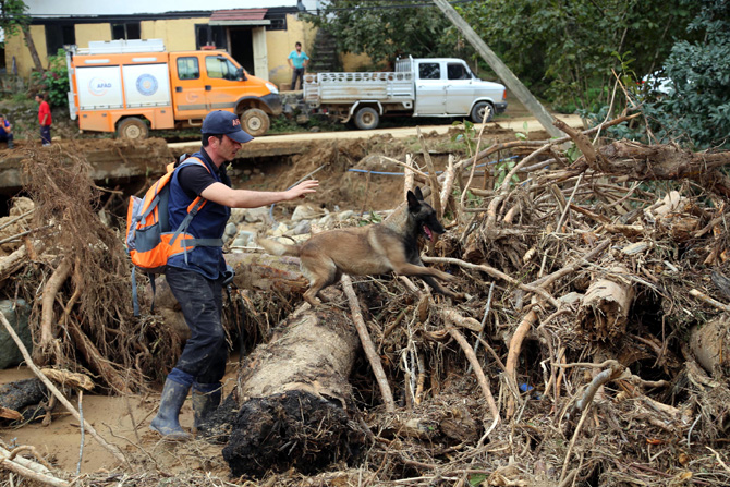 24-009.jpg 24-009.jpg