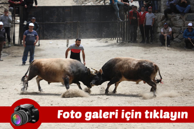 26-camlihemsin-ayder-kultur-sanat-ve-doga-festivali-duzenlendi.jpg