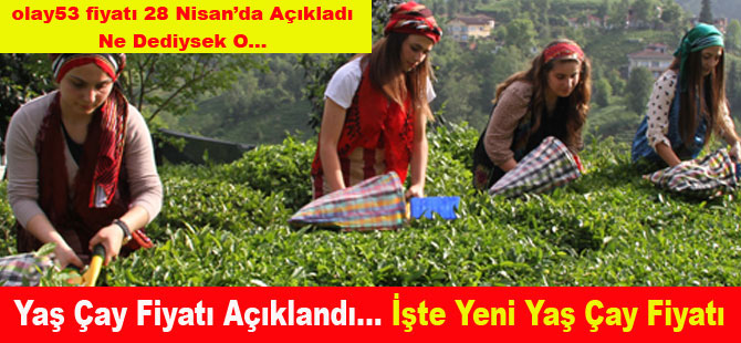 315750.jpg 315750.jpg