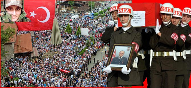 349175.jpg 349175.jpg