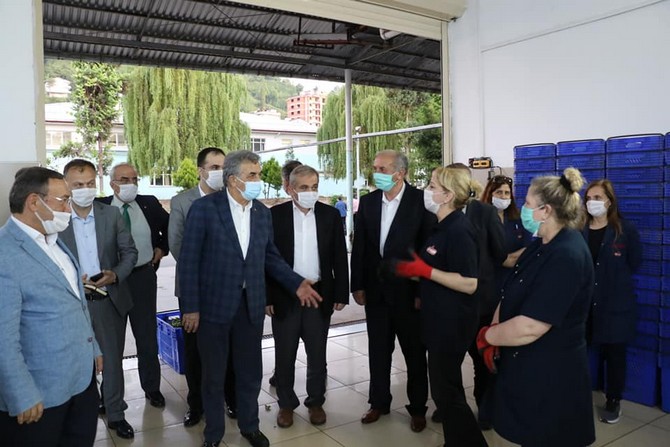 ak-parti-genel-baskan-yardimcisi-ve-rize-milletvekili-hayati-yazici,--caykur’un-organik-siyah-ve-yesil-cay-uretimi-yaptigi-cumhuriyet-cay-fabrikasini-gezdi-(10).jpg