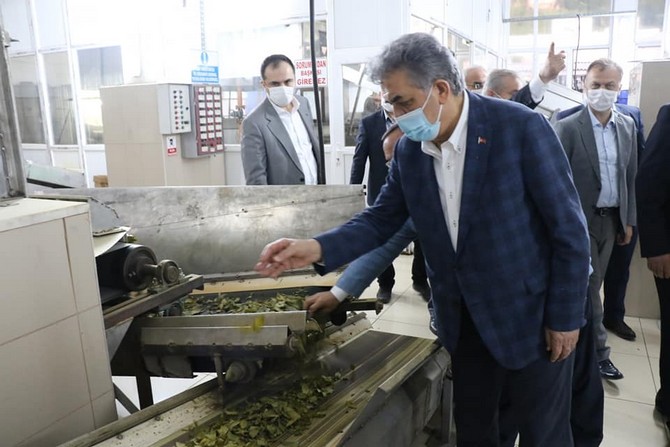 ak-parti-genel-baskan-yardimcisi-ve-rize-milletvekili-hayati-yazici,--caykur’un-organik-siyah-ve-yesil-cay-uretimi-yaptigi-cumhuriyet-cay-fabrikasini-gezdi-(4).jpg