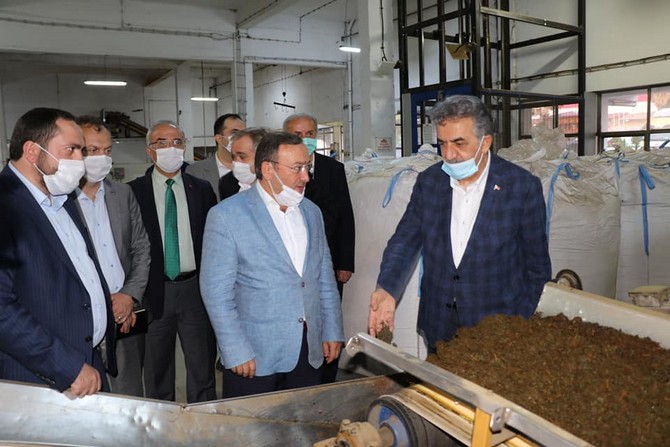 ak-parti-genel-baskan-yardimcisi-ve-rize-milletvekili-hayati-yazici,--caykur’un-organik-siyah-ve-yesil-cay-uretimi-yaptigi-cumhuriyet-cay-fabrikasini-gezdi-(7).jpg
