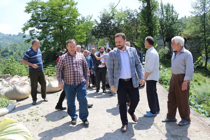 ak-parti-genel-baskan-yardimcisi-ve-rize-milletvekili-muhammed-avci,-caykur-genel-mudur-vekili-yusuf-ziya-alim-ile-birlikte-cay-alim-yerlerinde-incelemelerde-bulundu-(2).jpg