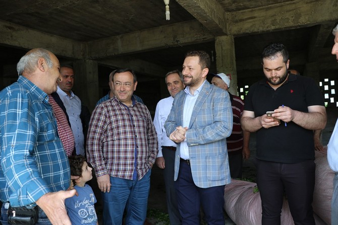 ak-parti-genel-baskan-yardimcisi-ve-rize-milletvekili-muhammed-avci,-caykur-genel-mudur-vekili-yusuf-ziya-alim-ile-birlikte-cay-alim-yerlerinde-incelemelerde-bulundu-(7).jpg