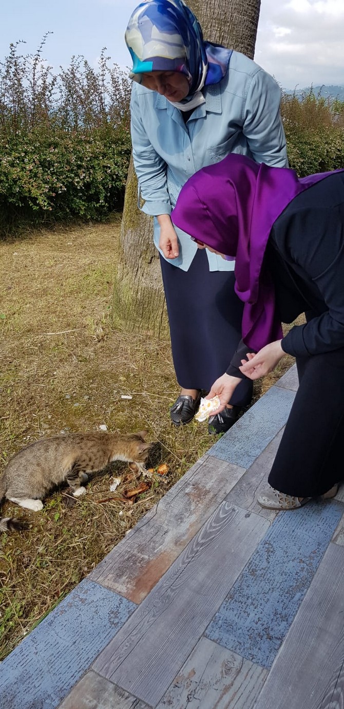 ak-parti-rize-kadin-kollari-sokak-hayvanlarinin-beslenme-ihtiyaclarinin-karsilanmasi,-toplumsal-duyarliligi-artirmak-ve-dikkat-cekmek-amaciylabir-basin-aciklamasi-yapti-(3).jpg