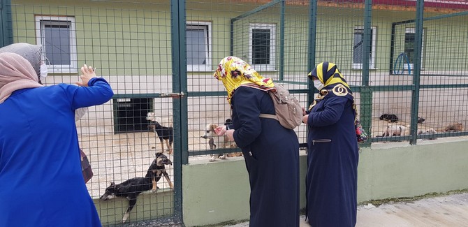 ak-parti-rize-kadin-kollari-sokak-hayvanlarinin-beslenme-ihtiyaclarinin-karsilanmasi,-toplumsal-duyarliligi-artirmak-ve-dikkat-cekmek-amaciylabir-basin-aciklamasi-yapti-(4).jpg