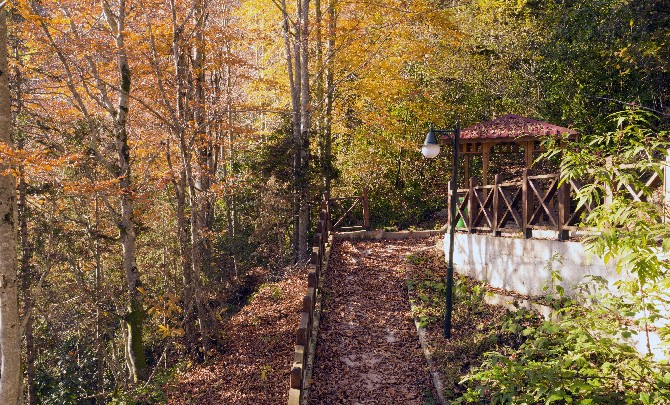 akyamac-selalesi-tabiat-parki-dogal-guzelligi-ile-buyuluyor-(4).jpg