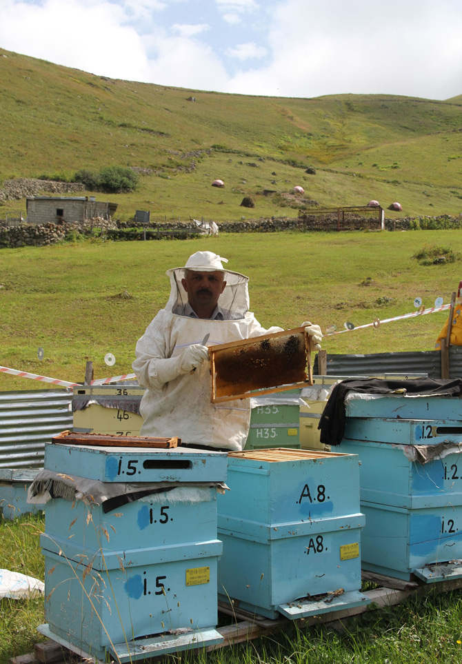 anzer-balinin-kilosu-850-tl.jpg anzer-balinin-kilosu-850-tl.jpg