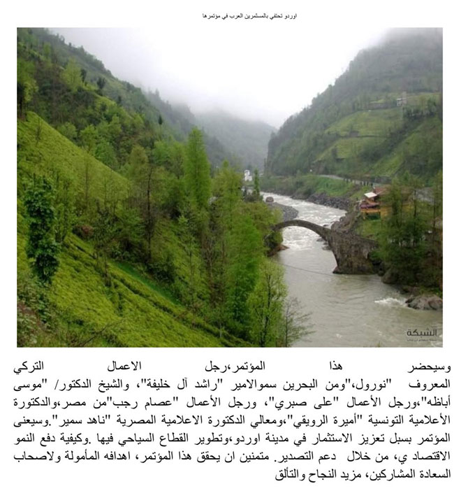 arap-medyasi-20-mayista-orduda1.jpg