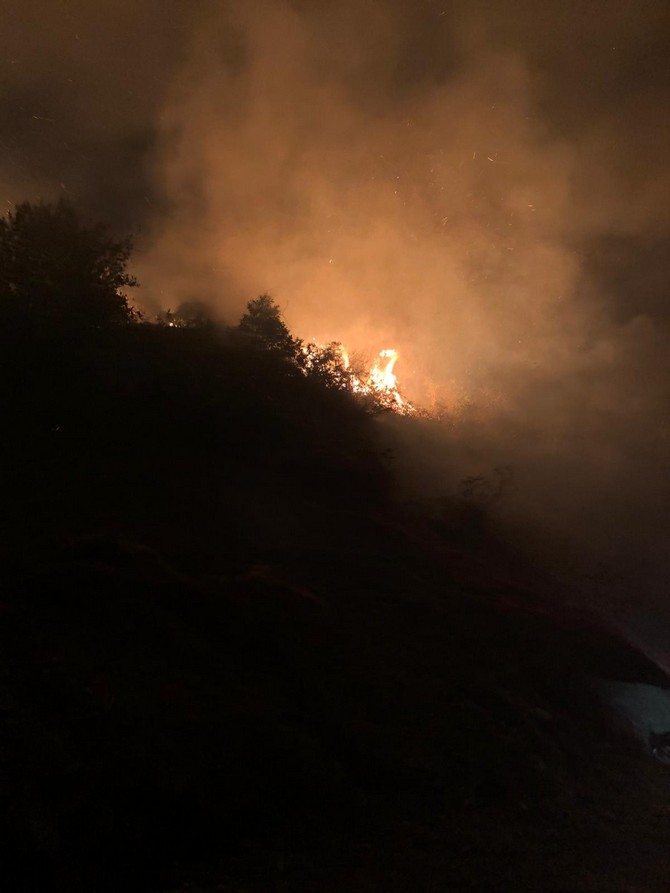 artvin’de-orman-yangini-(2).jpg