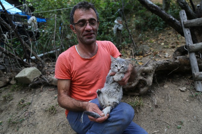 artvin’de-uc-ayakli-dogan-yavru-kedi,-mahalle-sakinlerinin-ilgi-odagi-haline-geldi-(3).jpg
