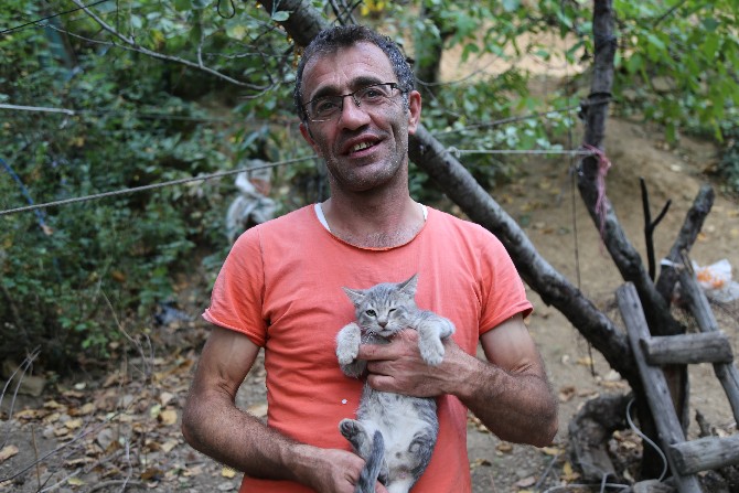 artvin’de-uc-ayakli-dogan-yavru-kedi,-mahalle-sakinlerinin-ilgi-odagi-haline-geldi-(6).jpg