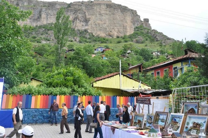 artvin’in-ardanuc-ilcesinde-vatandaslar-turist-cekmek-icin-evleri-rengarenk-boyadilar-(5).jpg