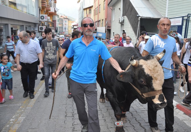 artvin-kafkasor-festivali-bogali-kortej-yuruyusu-ile-basladi-(6).jpg