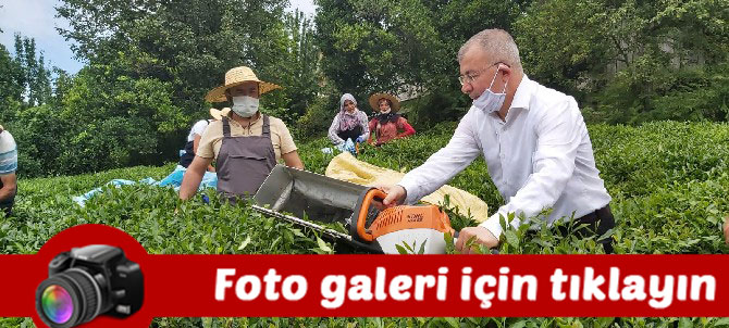artvinde-cay-hasadina-yerli-is-gucu-destegi-foto-galeri.jpg