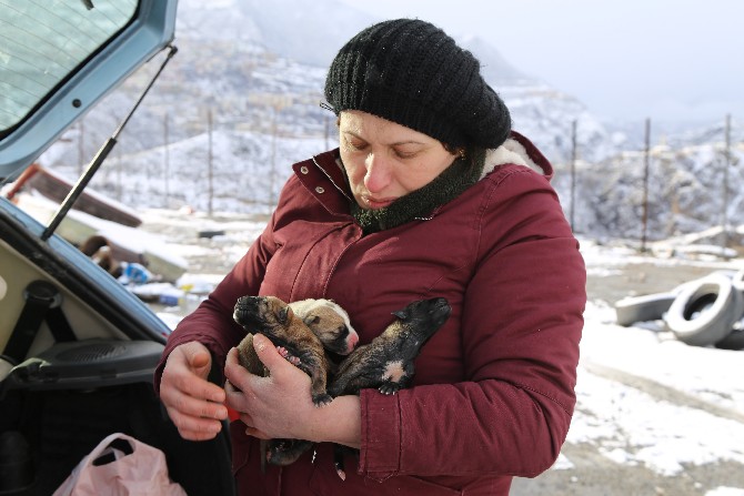 artvinde-kar-yagisi-ve-agir-kis-sartlari-altinda-dogum-yapan-sokak-kopegi-ile-6-yavrusu-hayvan-severler-tarafindan-kurtarilarak-bakim-evine-goturuldu-(5).jpg