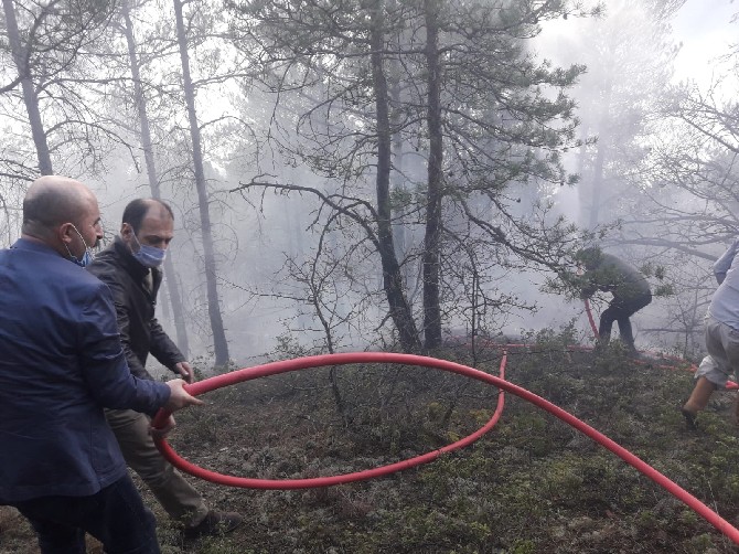 artvinde-ortu-yangini-kontrol-altina-alindi-(1).jpg