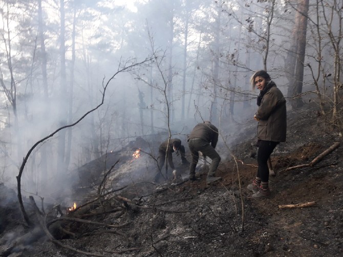 artvinde-ortu-yangini-kontrol-altina-alindi-(2).jpg