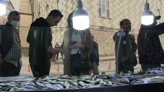 artvinin-hopa-ilcesinde-bir-balikci-bereketli-gecirdigi-her-av-sonrasi-hamsinin-kilosunu-5-liradan-satiyor-tezgahta-ucuz-hamsiyi-gorenler-uzun-kuyruklar-olustururken-75-ton-hamsi-6-saat-icinde-tuketildi-6.jpg