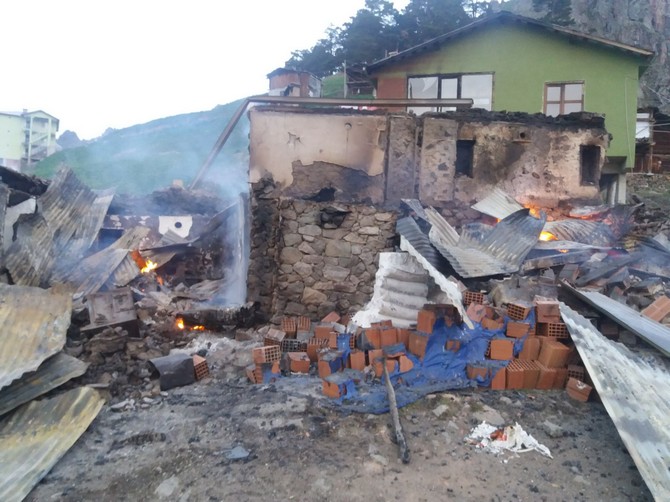 artvinin-yusufeli-ilcesindeki-yaylada-cikan-yanginda-19-ev-hasar-gordu-(2).jpg