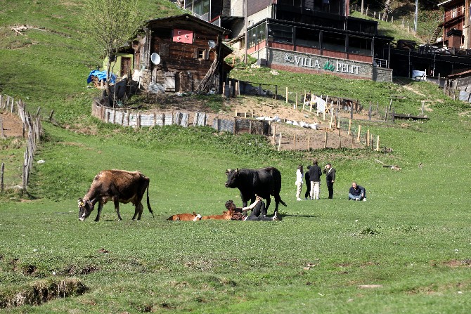 ayder-yaylasi-bayram-tatilini-dolu-gecirecek-1.jpg