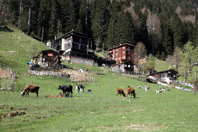 ayder-yaylasi-bayram-tatilini-dolu-gecirecek-2.jpg