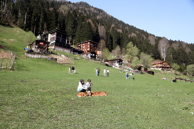 ayder-yaylasi-bayram-tatilini-dolu-gecirecek-4.jpg