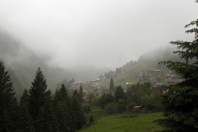 ayder-yaylasi-rize-(6).jpg