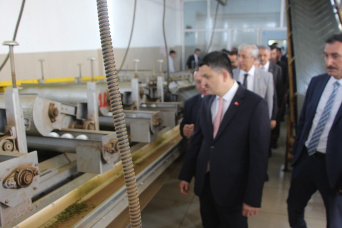 bakan-dr.-bekir-pakdemirli-rizede-yesil-cay-fabrikasini-ve-cay-paketleme-fabrikasinda-incelemelerde-bulundu-(17).jpg
