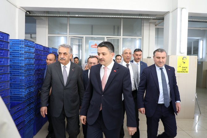 bakan-dr.-bekir-pakdemirli-rizede-yesil-cay-fabrikasini-ve-cay-paketleme-fabrikasinda-incelemelerde-bulundu-(2).jpg