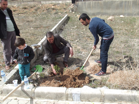 bayburt-universitesi-ogrencileri-bayburt-cevresini-agaclandiriyor--4.jpg bayburt-universitesi-ogrencileri-bayburt-cevresini-agaclandiriyor--4.jpg