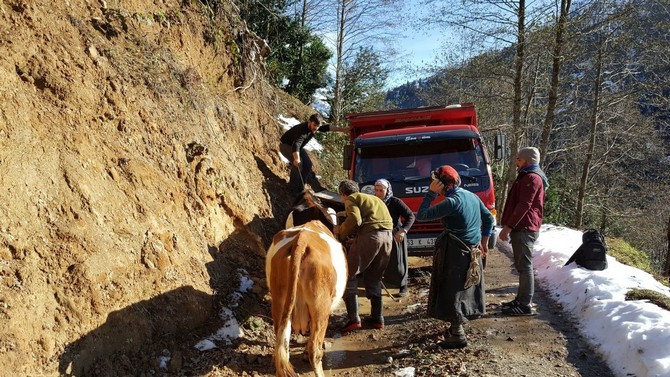 bir-haftadir-yaylada-mahsur-kalmislardi,-kurtarildilar-(2).jpg
