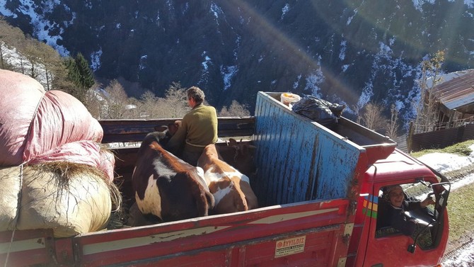 bir-haftadir-yaylada-mahsur-kalmislardi,-kurtarildilar-(7).jpg