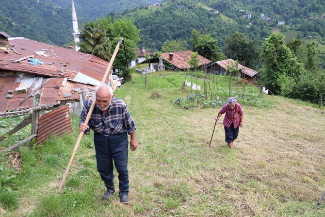 bu-koyun-yaslilari-genclere-tas-cikartiyor-(1).jpg