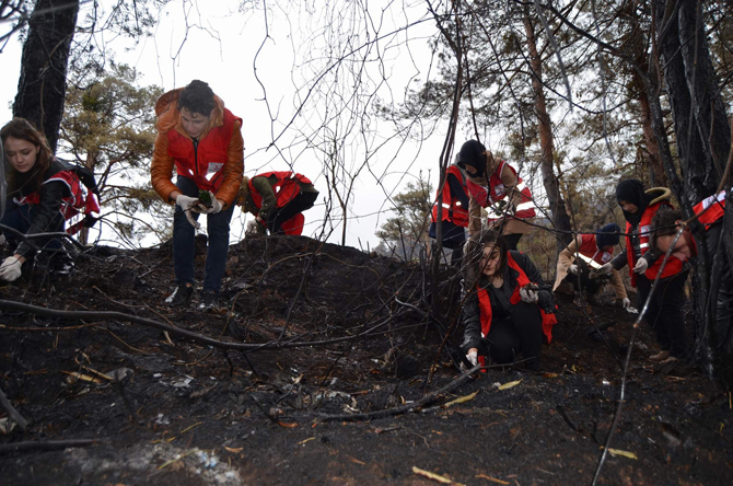 camburnu-orman-yangini-sahasinda-cop-temizligi-yaptilar.jpg