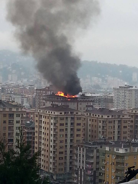 cati-yangini-rize.jpg cati-yangini-rize.jpg