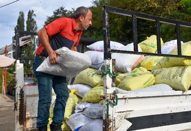 cay-tohumuna-ragbet-artinca-rize-genelinde-cay-tohumu-fiyatlari-ozel-sektorun-yas-cay-aldigi-fiyatin-uzerine-cikti-1.jpg