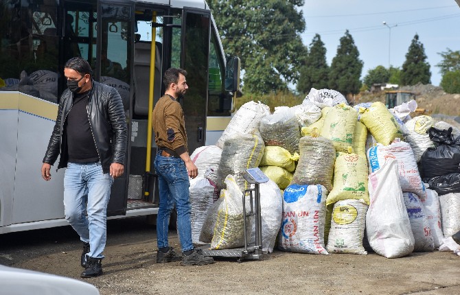cay-tohumuna-ragbet-artinca-rize-genelinde-cay-tohumu-fiyatlari-ozel-sektorun-yas-cay-aldigi-fiyatin-uzerine-cikti-4.jpg