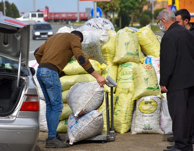cay-tohumuna-ragbet-artinca-rize-genelinde-cay-tohumu-fiyatlari-ozel-sektorun-yas-cay-aldigi-fiyatin-uzerine-cikti-5.jpg