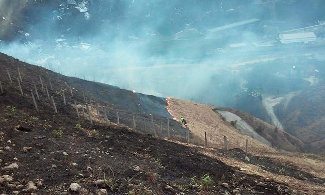 cayeli’nde-ortu-yangini1.jpg cayeli’nde-ortu-yangini1.jpg